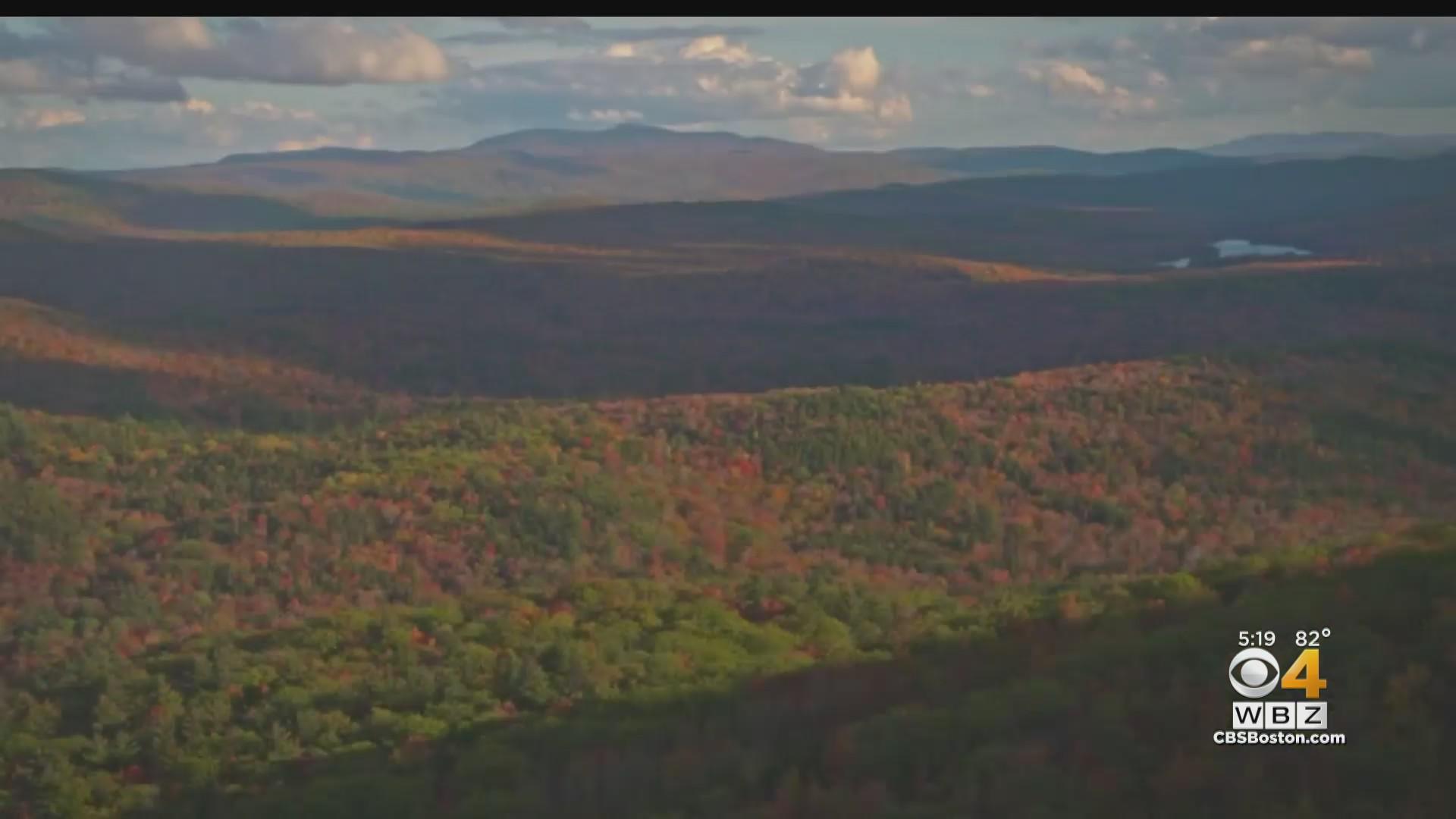 What does the summer drought mean for fall foliage? - CBS Boston