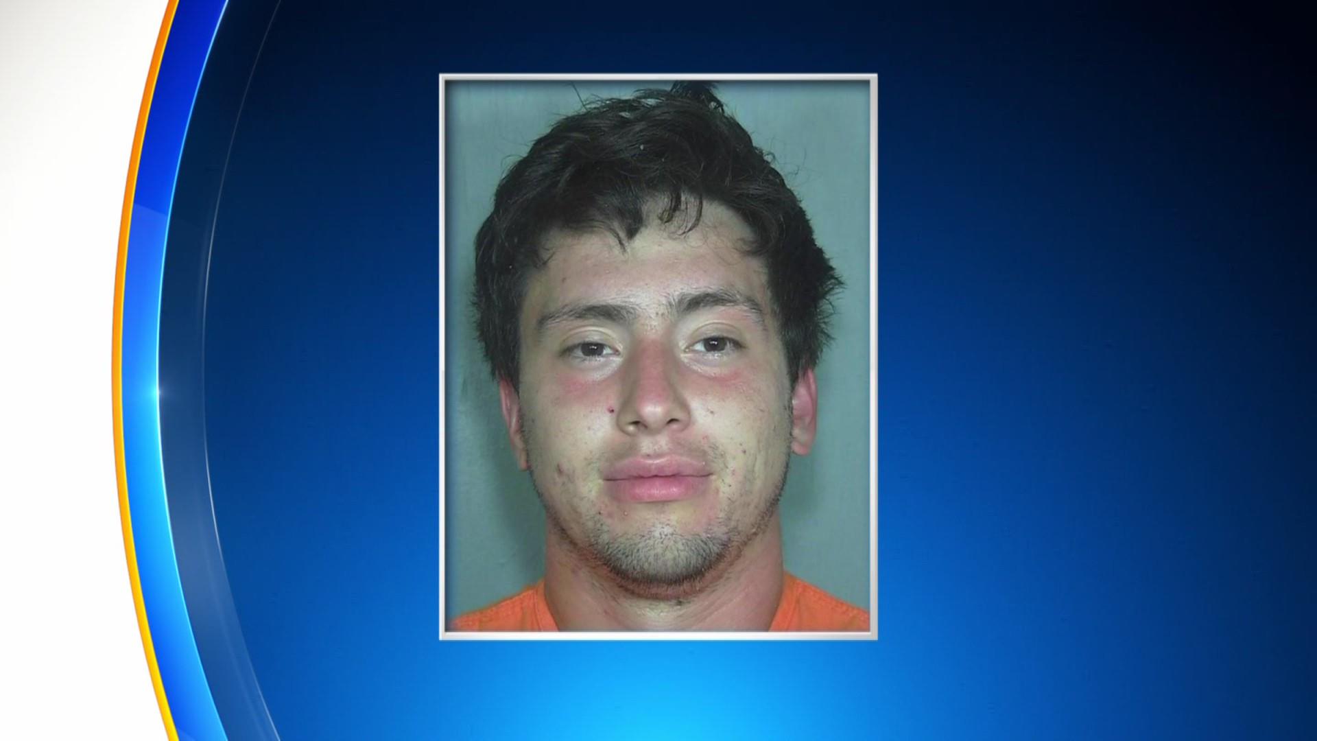 Marcos Vallejos formally charged in Greeley killing of Angelica Vega ...