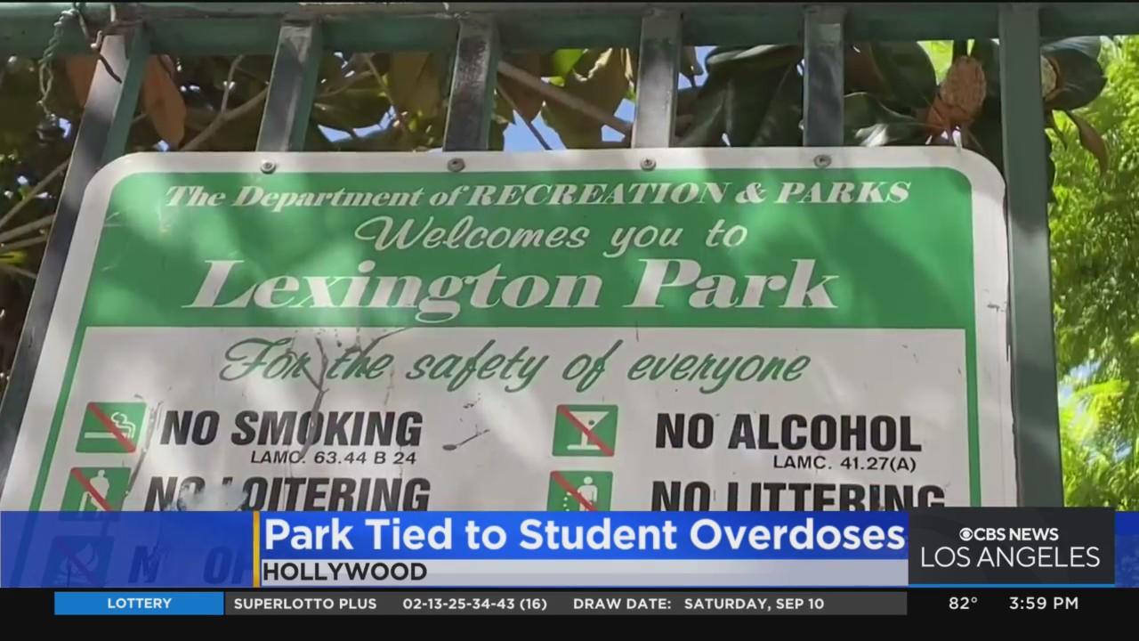Teen found dead at Bernstein High School, 3 others hospitalized after ...