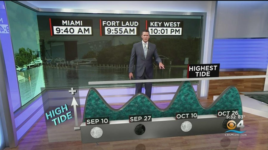 South Florida king tides: An interactive video explainer - CBS Miami