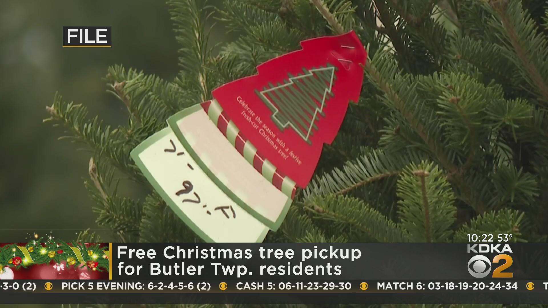 Free Christmas tree pickup for Butler Township residents - CBS Pittsburgh