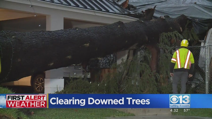 Crews continue efforts to clean up downed trees across Sacramento - CBS ...