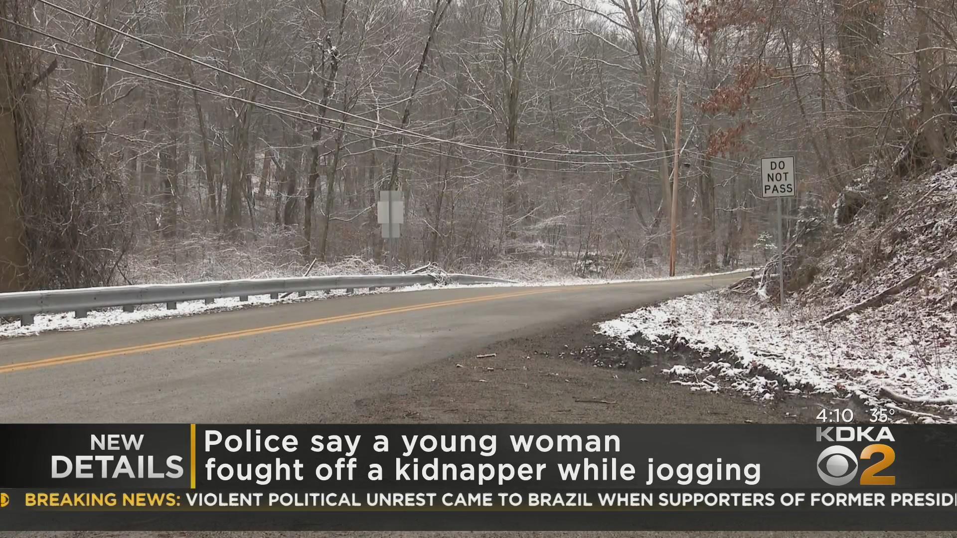 Man accused of trying to kidnap jogger in Ligonier Township charged ...