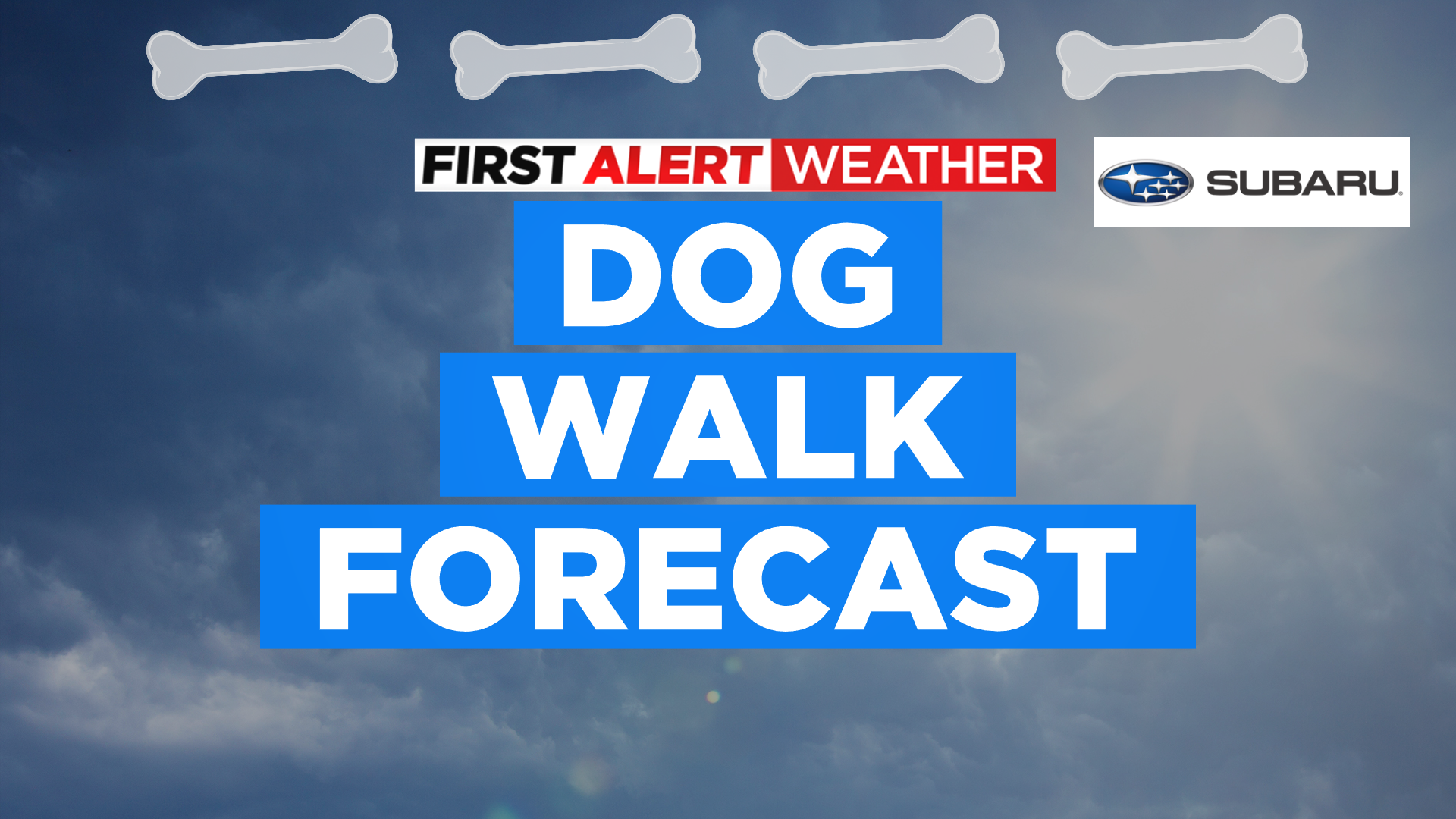 Dog Walk Forecast - CBS Colorado