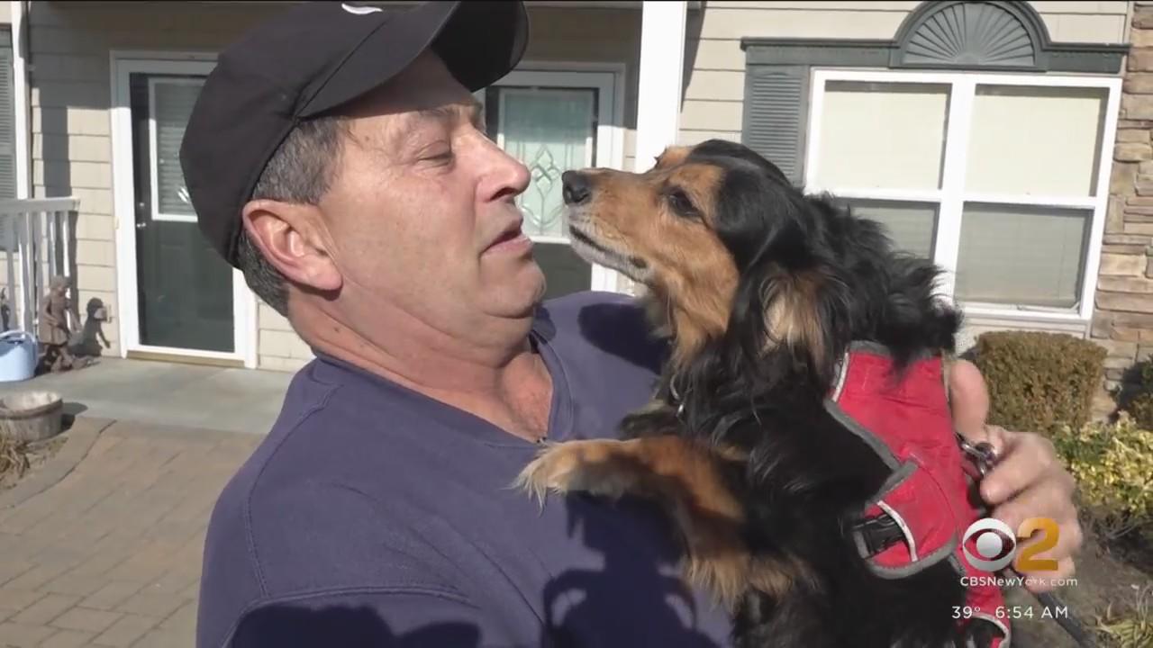 Long Island man and his dog Winston help find people's missing pets