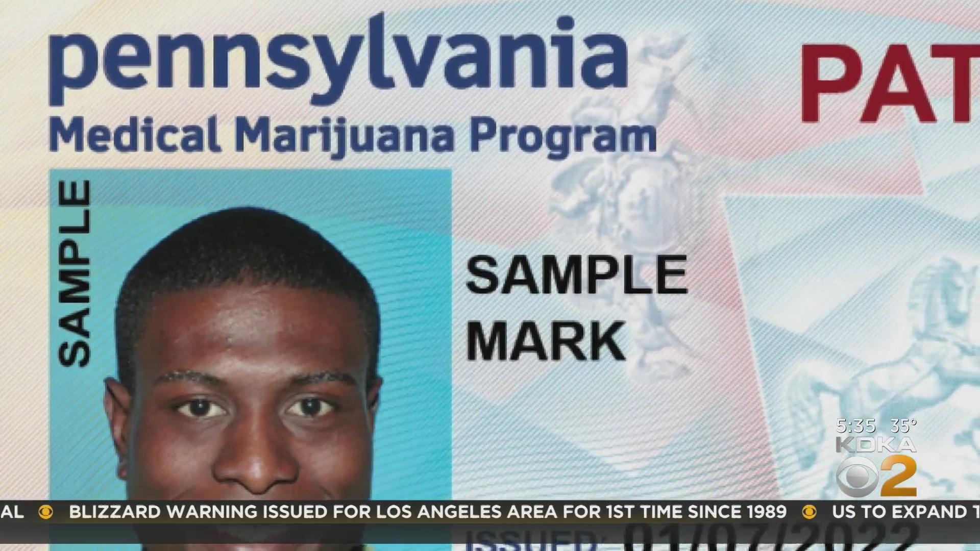Kentucky Medical Cannabis Doctor