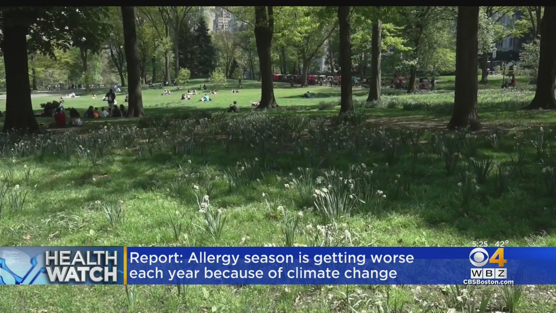 Climate change making allergy season worse each year, new report says(02)