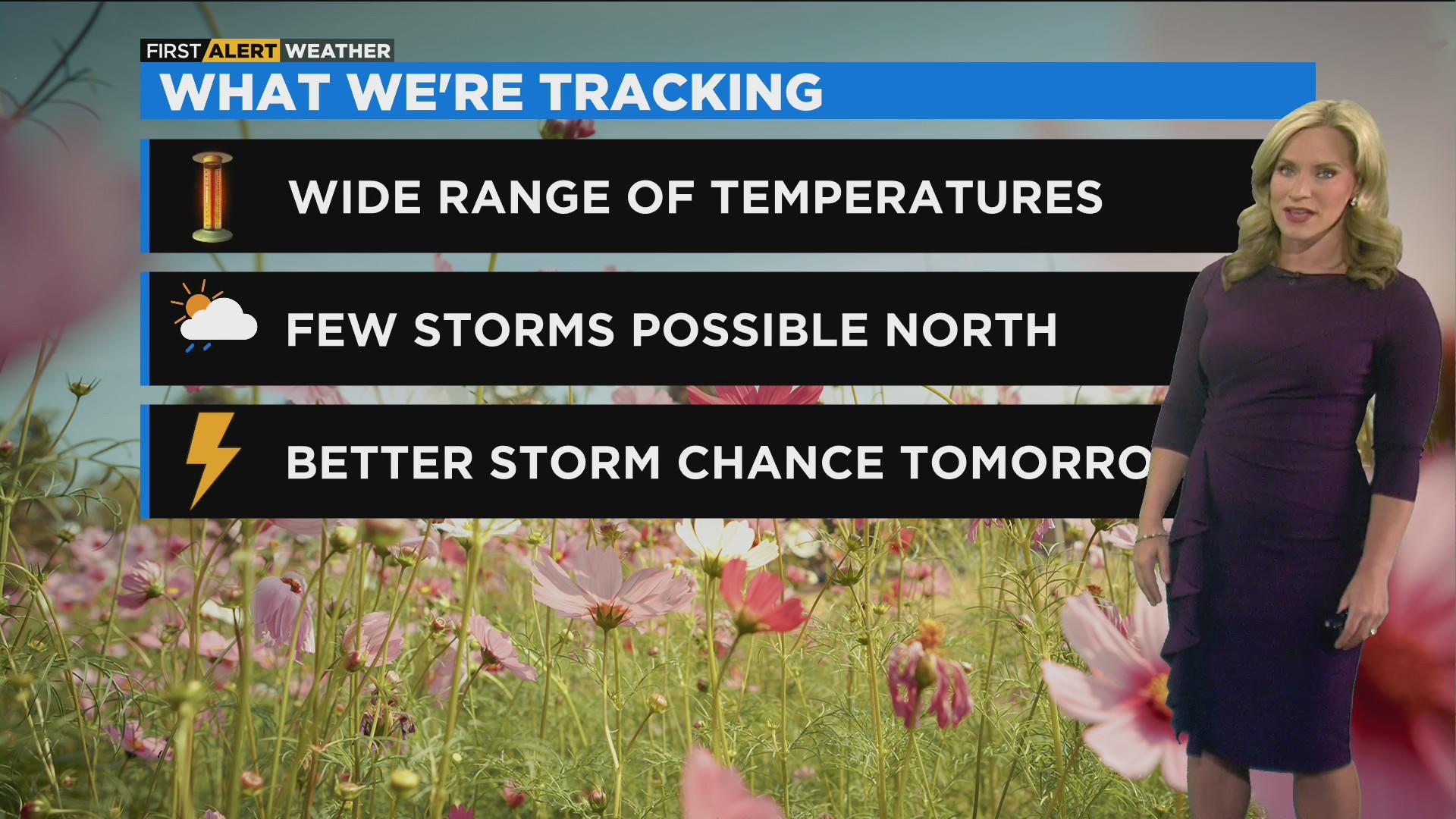 Chicago First Alert Weather: Increasing rain chances - CBS Chicago