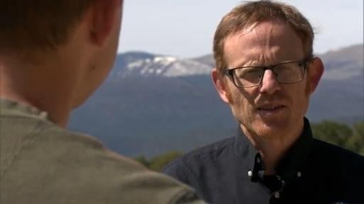 Wolf reintroduction plan passes final draft - CBS Colorado