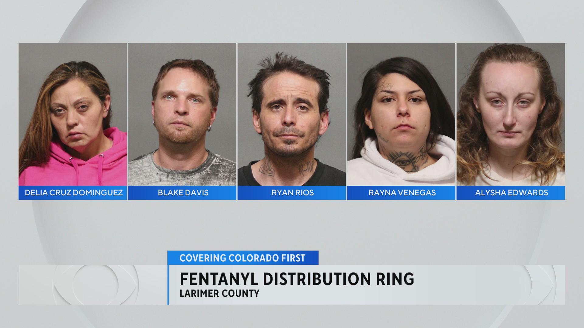 Five suspects in custody for fentanyl distribution operation in Larimer ...