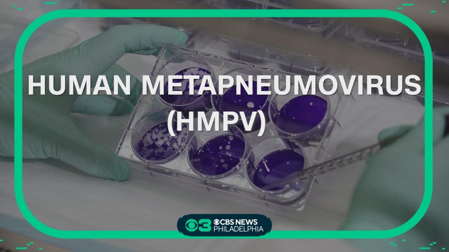 HMPV symptoms: How to know if you have human metapneumovirus - CBS ...