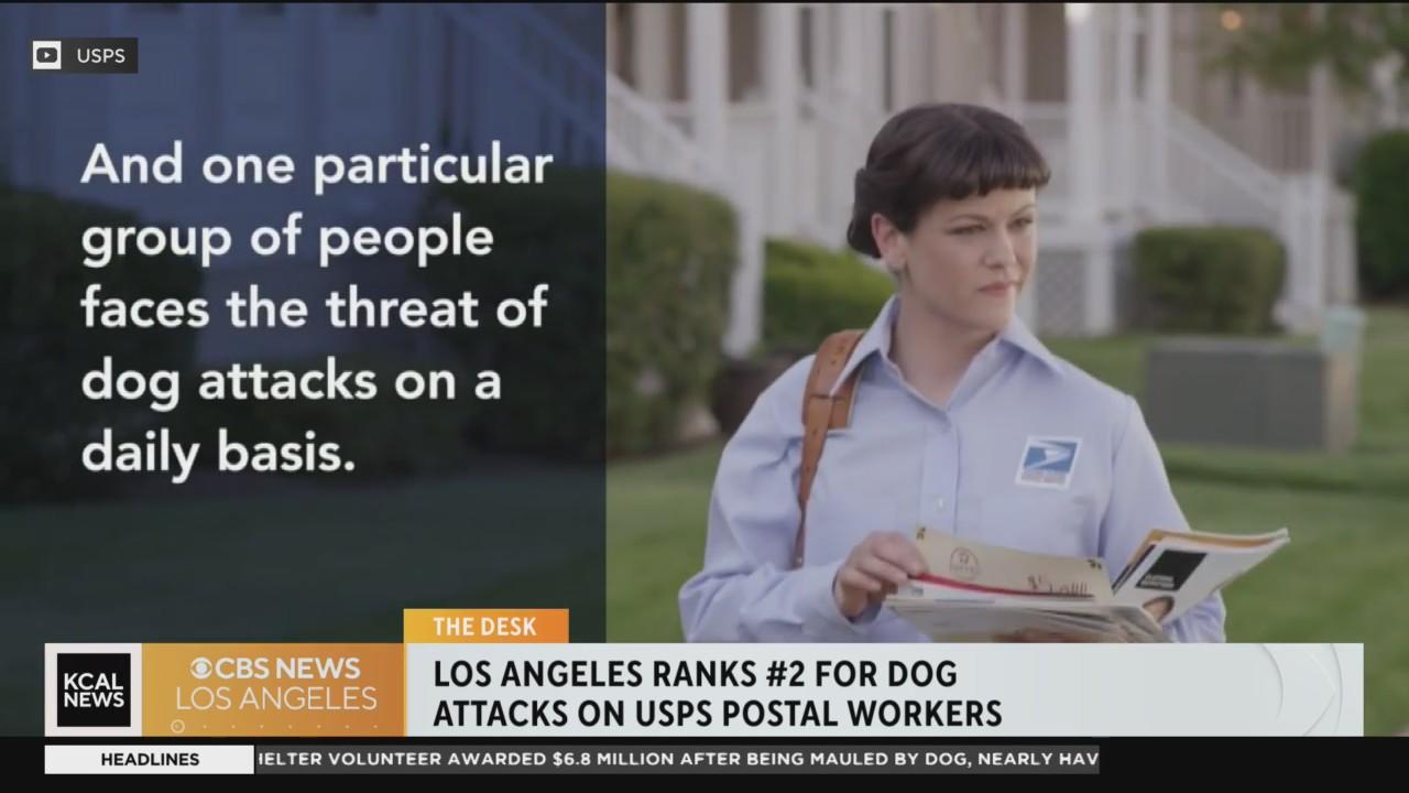 USPS ranks LA No. 2 nationwide in dog bites to mail carriers - CBS Los ...