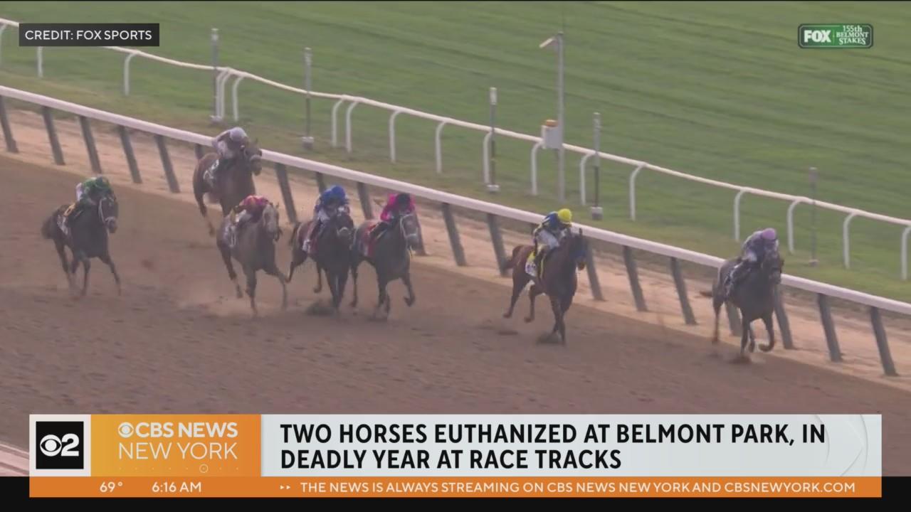 2 horses die less than 24 hours apart at Belmont Park CBS News