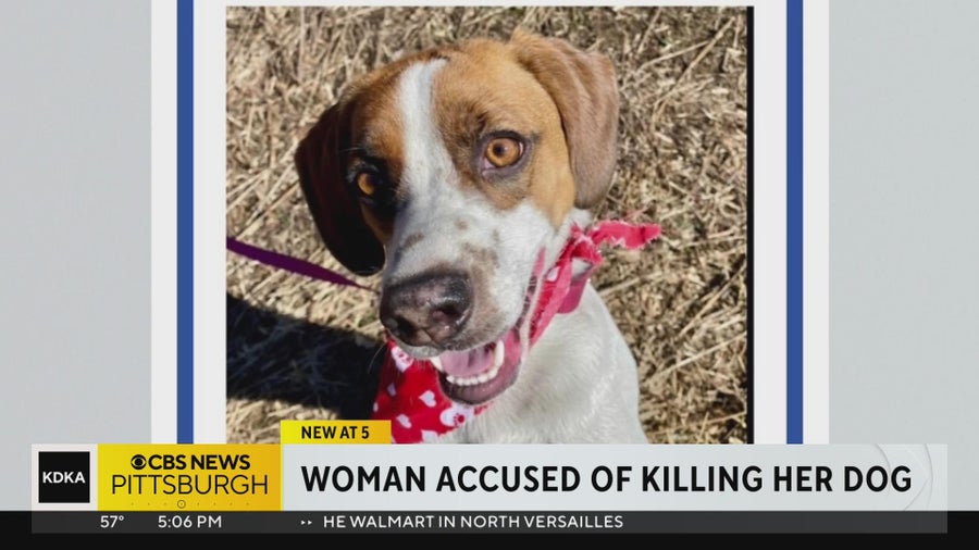 Arnold woman accused of shooting, killing her dog - CBS Pittsburgh