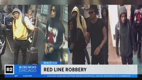 Police seek robbers who beat CTA passenger at Red Line stop - CBS Chicago