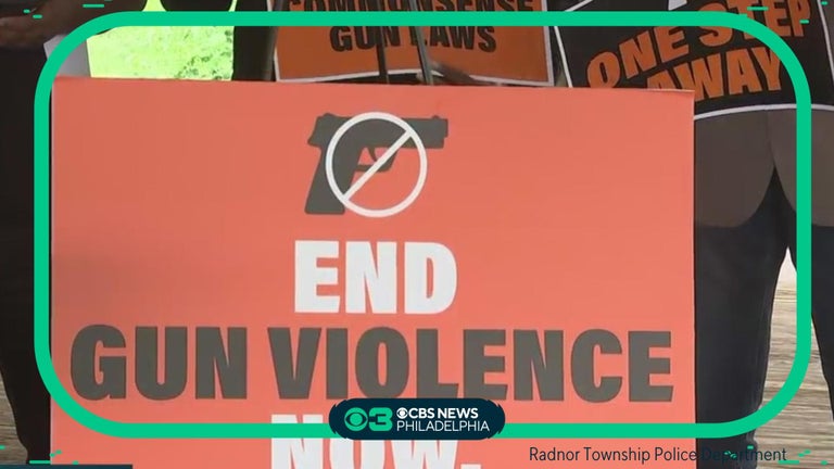"Red flag" bills aim to curb gun violence in Philadelphia - CBS ...