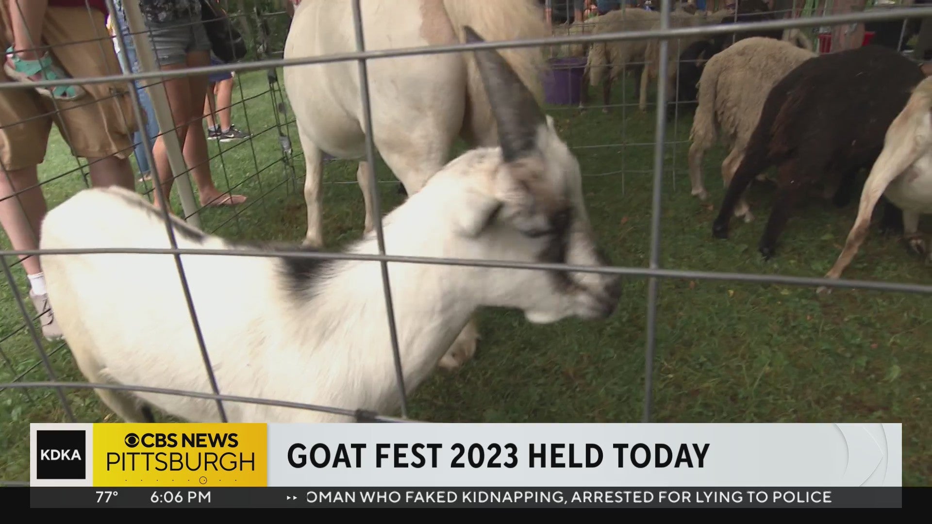 Goat Fest 2023 held in South Side - CBS Pittsburgh