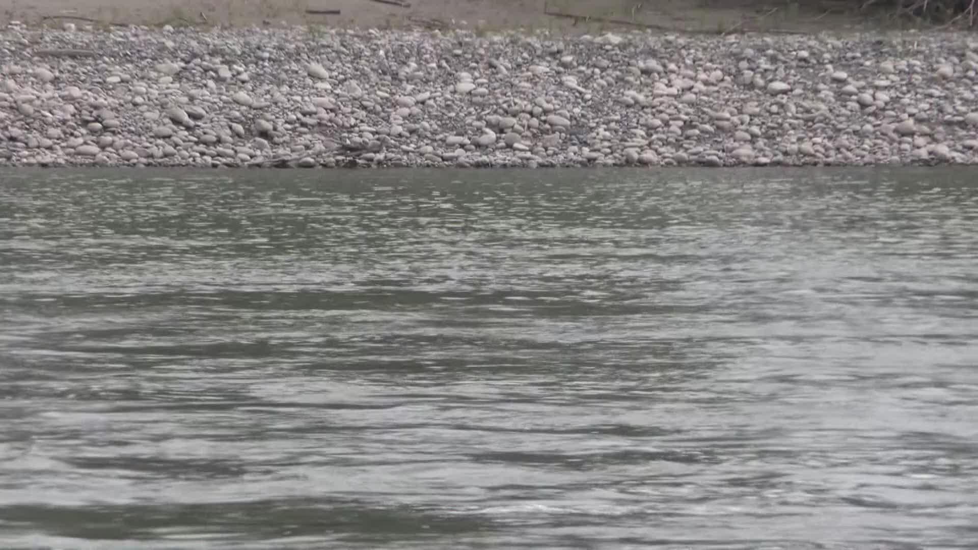 Woman attacked by 'vicious' otter: 'I did not think I was going to make ...