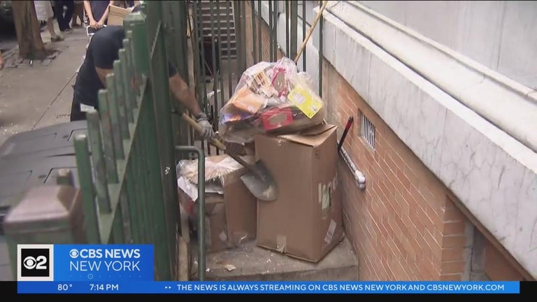 First ever Anti-Rat Day of Action held in Harlem to fight 