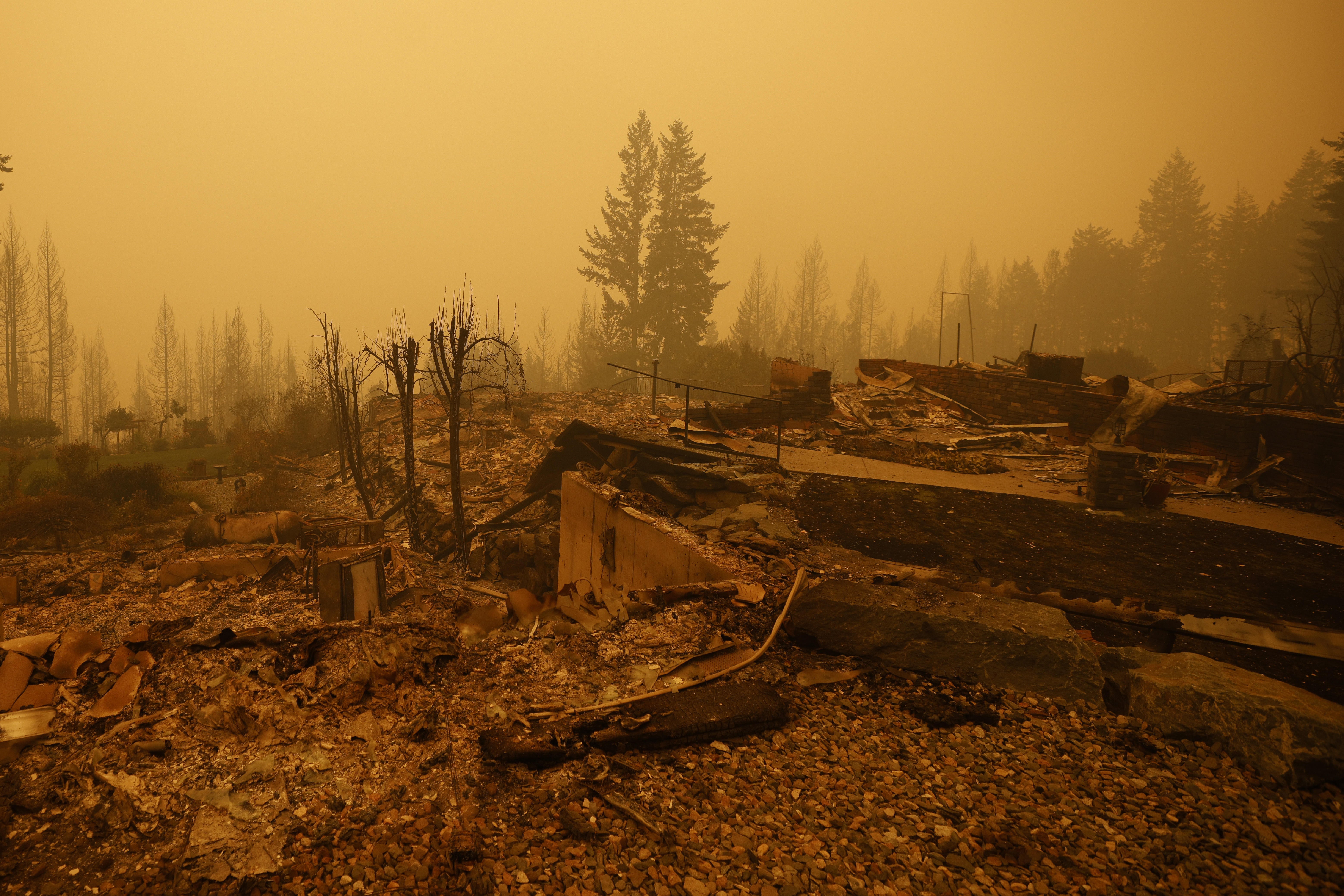 Canada City Of 150,000 Declares Emergency As Wildfires Near 