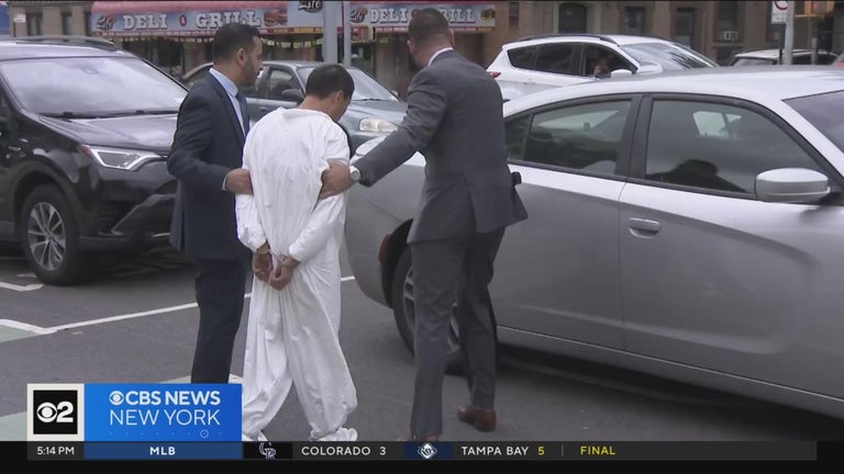 Liyong Ye charged with murder in hammer attack that killed mother Zhao ...