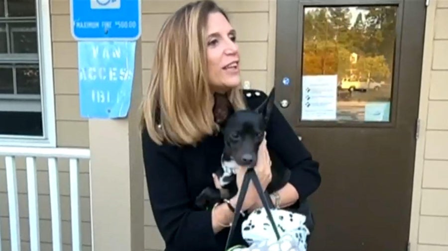 Passenger's dog found weeks after it escaped, ran off on Atlanta