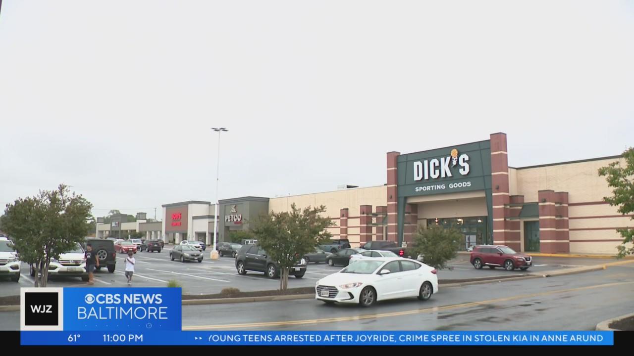 Six young teens arrested after joyride, crime spree in stolen Kia in ...