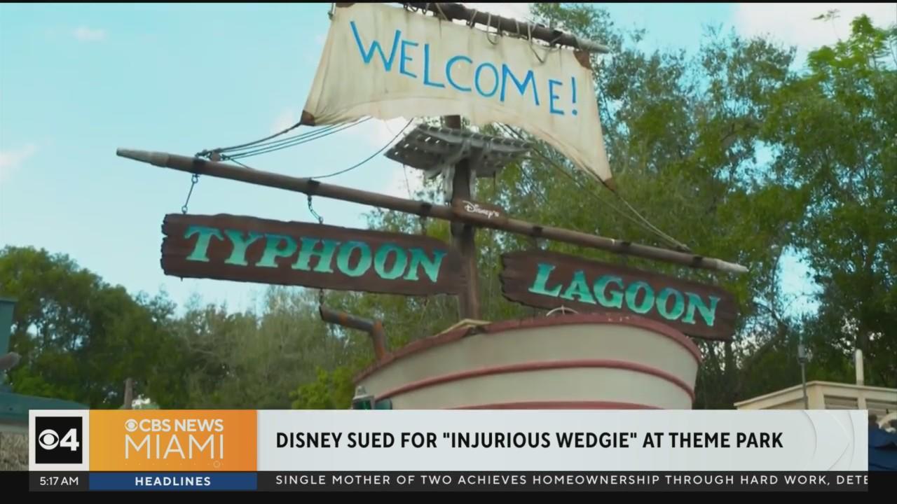 Disney sued over 'severe' injuries allegedly caused by 'wedgie' from(01)