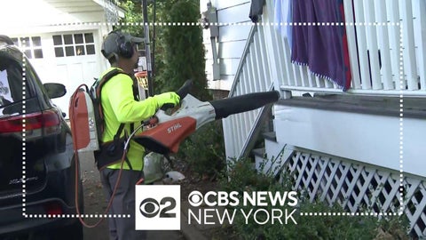 Landscapers taking Montclair to court over gas-powered leaf blower ban