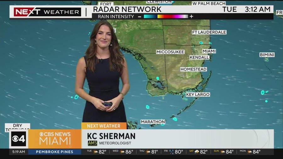 Breezy and warm across South Florida - CBS Miami