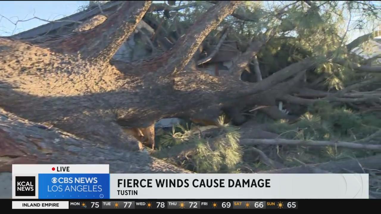 Strong Santa Ana winds wreak havoc through Southern California ...