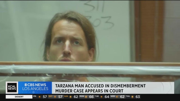 Man accused of killing wife, in-laws and leaving dismembered body parts ...