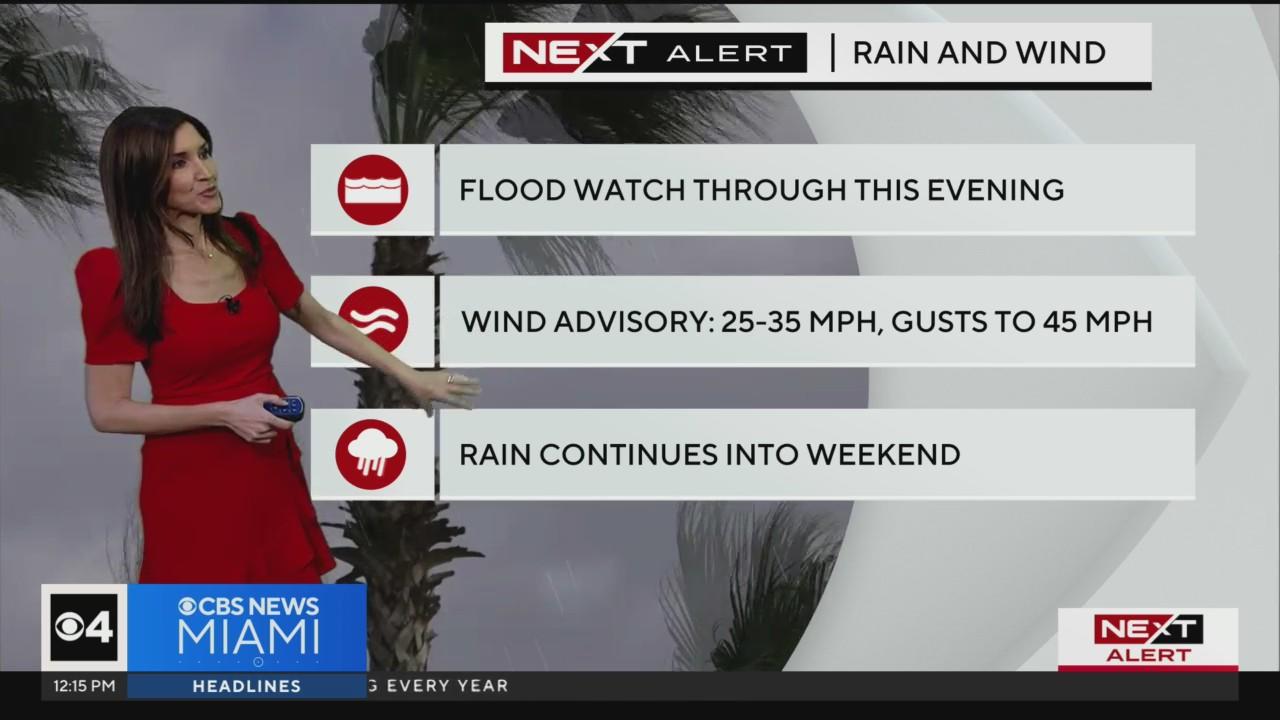 Another day of blustery winds, scattered showers in South Florida - CBS ...