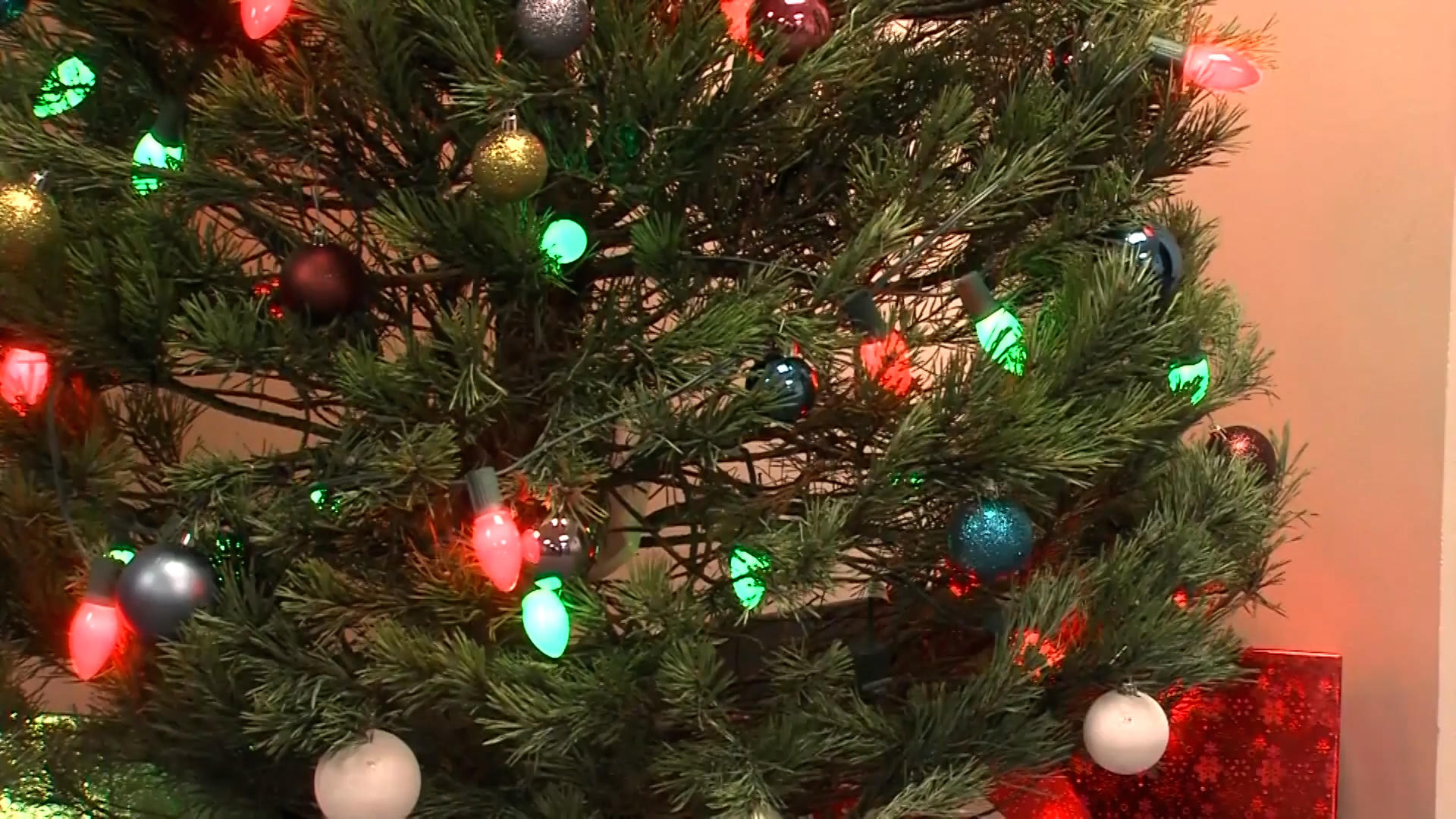 Is your Christmas tree causing your allergies to flare?