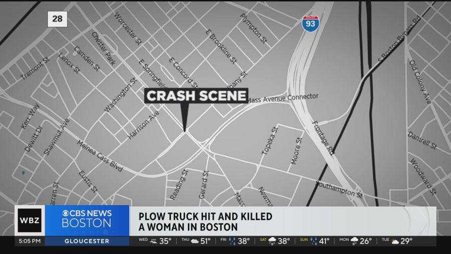 Woman in wheelchair hit and killed by plow truck on Albany Street in ...