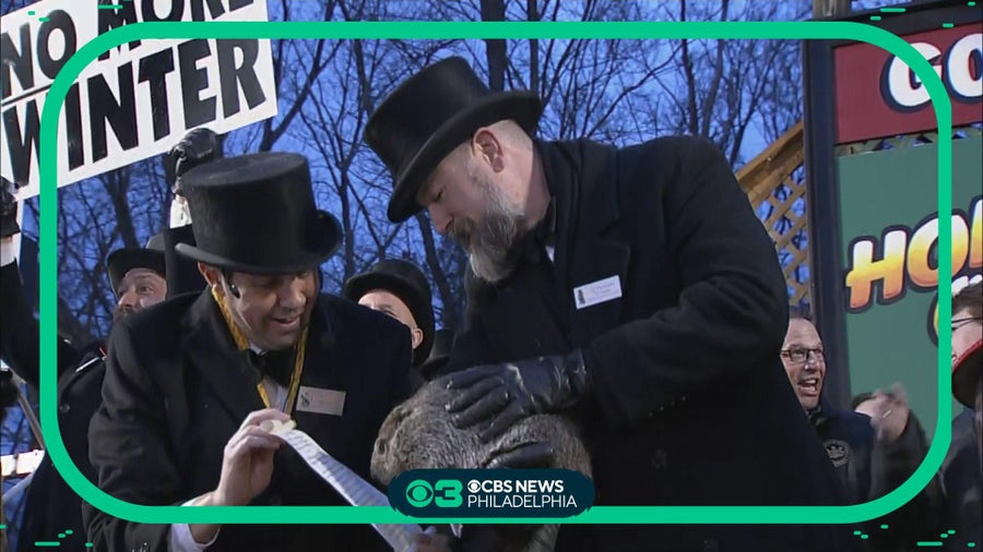 how-accurate-are-punxsutawney-phil-s-groundhog-day-predictions-cbs-news