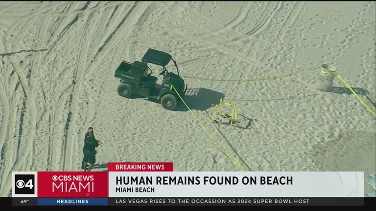 Miami Beach police investigate after human remains found on sand - CBS ...
