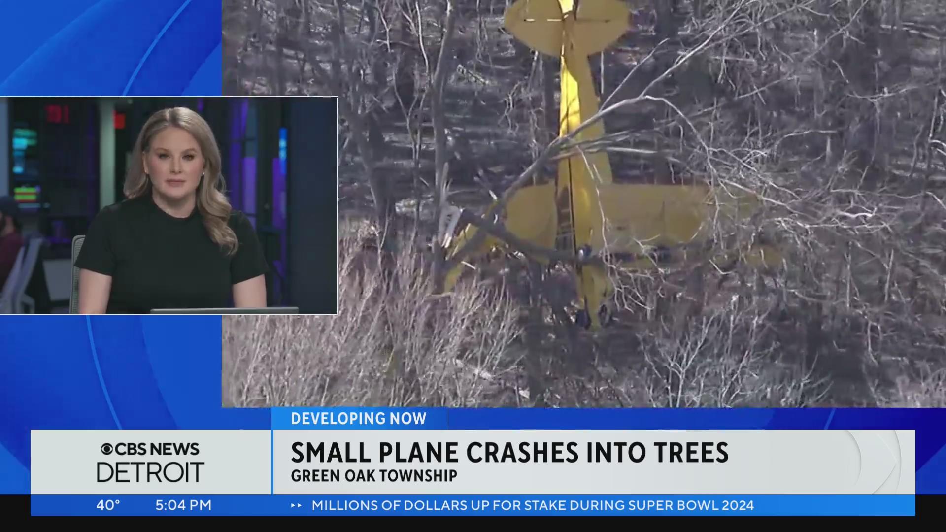 Plane crashes into tree after burst of wind in Livingston County - CBS ...