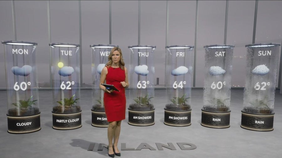 Rain returns to San Francisco Bay Area with 3 incoming storm systems ...