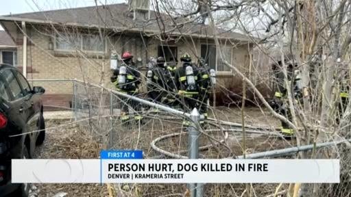 1 person hurt, dog killed in house fire in Denver - CBS Colorado