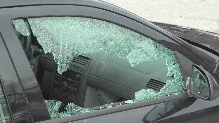 Vandal hits at least 15 cars overnight in Detroit's North End ...