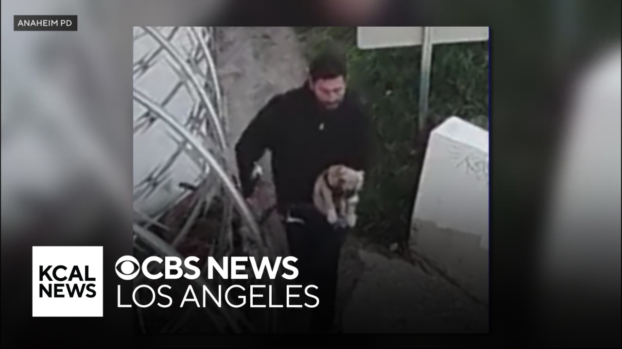 Man caught on camera brutally abusing dog in Anaheim arrested - CBS Los ...