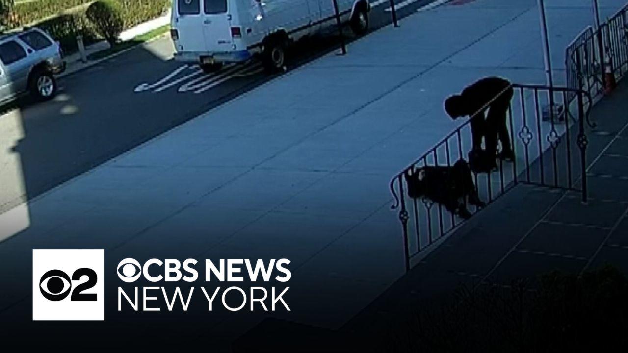 New York City woman pushed down church stairs out of ICU, family says