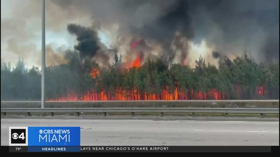 Miami-Dade Fire Rescue and Florida Forest Service battle brush fires ...