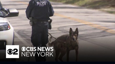 Gilgo Beach serial killer investigation spreads out across Manorville