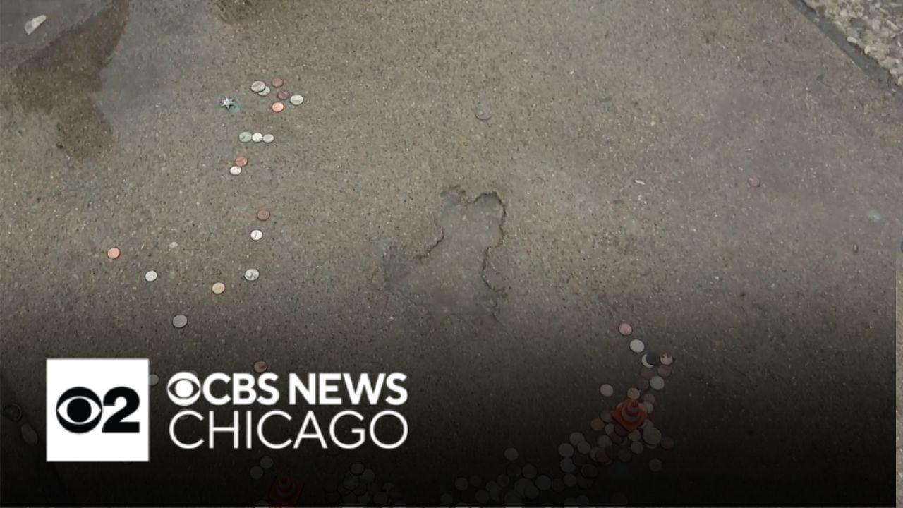 Cicago Rats Chicago removes rat hole, leaving a void with Roscoe Village residents ...