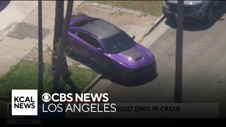 Suspect in stolen purple car led LAPD on brief chase - CBS Los Angeles