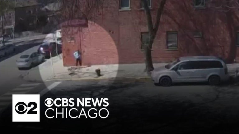 Video shows Chicago Police officer shooting, killing man's dog; COPA ...