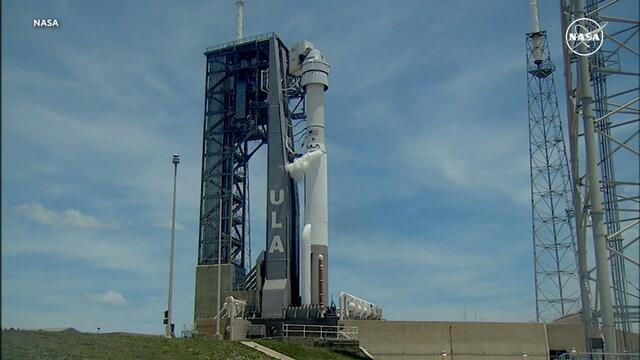 Taylor Momsen fue mordido por un murciélago durante una actuación en España Taylor Momsen fue mordido por un murciélago durante una actuación en España