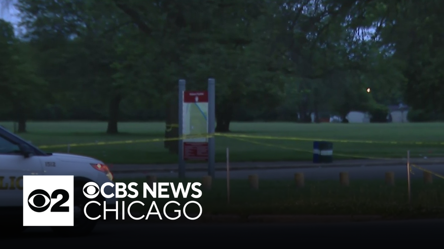 Person shot and killed at cookout in south suburban Chicago forest ...